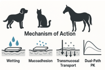 Mechanisms of Action of Veterinary Oral Dissolving Films (ODFs)